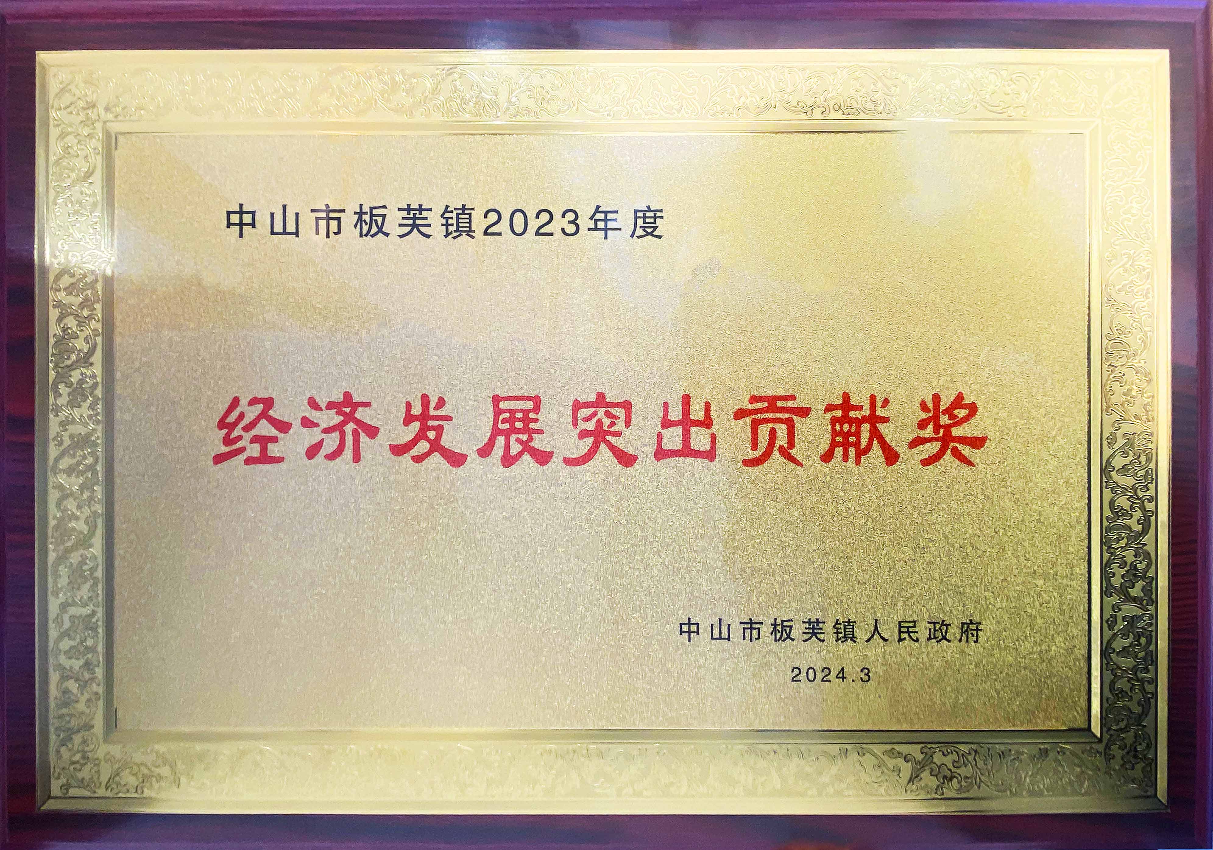 经济发展突出贡献奖(1).jpg